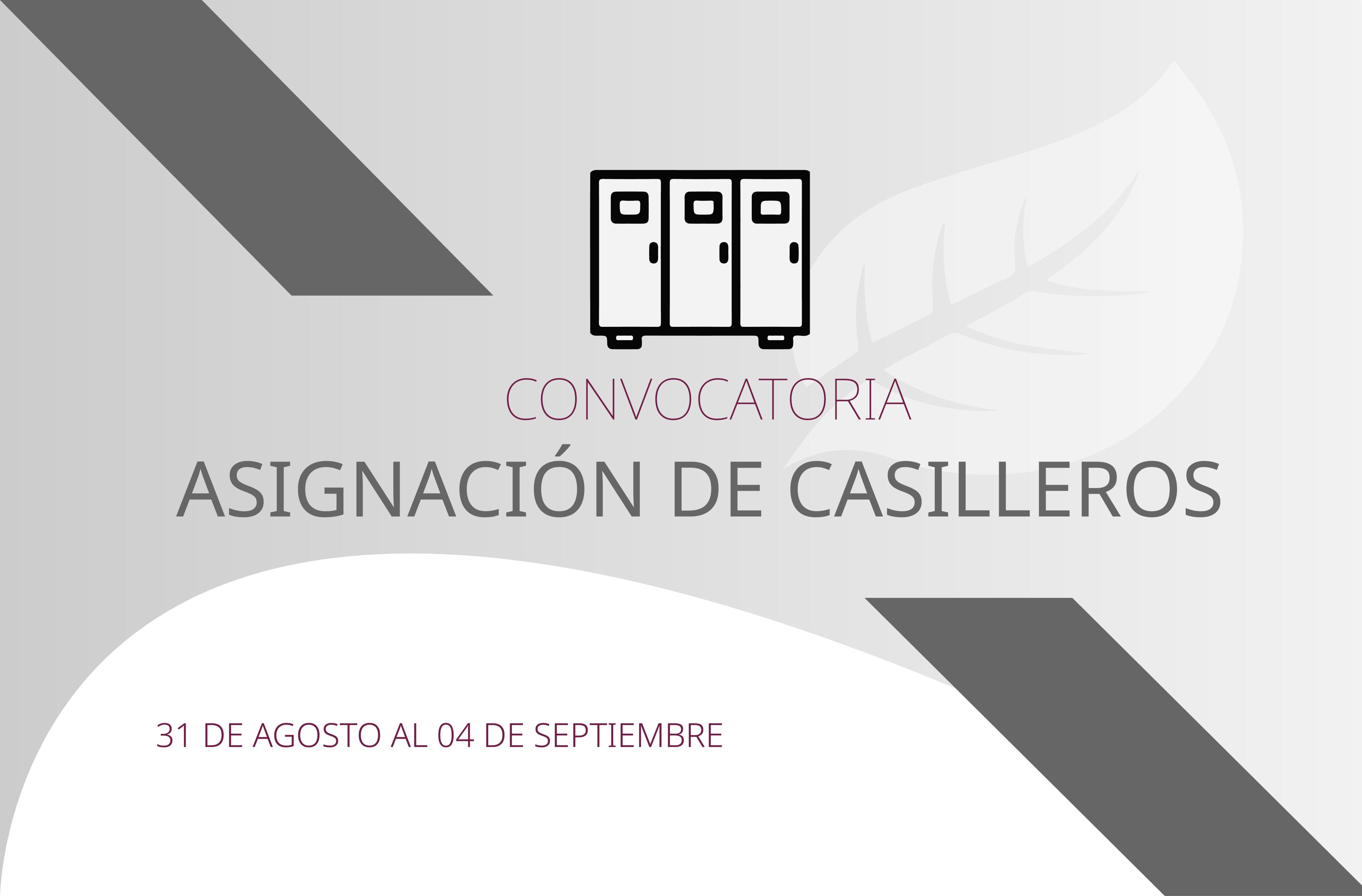 casillerosweb_Mesa de trabajo 1.jpg