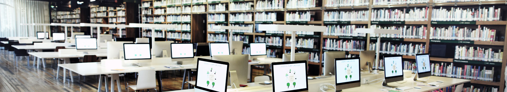 imagen-Licenciatura en Biblioteconomía